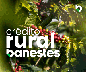 Credito Rural banestes