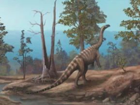 Nova espécie de dinossauro de 210 milhões de anos é descoberta no Zimbábue