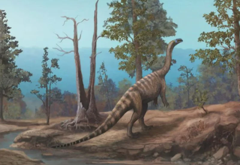 Nova espécie de dinossauro de 210 milhões de anos é descoberta no Zimbábue