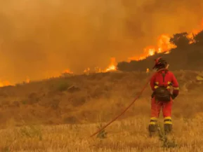 Incêndios florestais: Espanha declara estado de emergência nacional