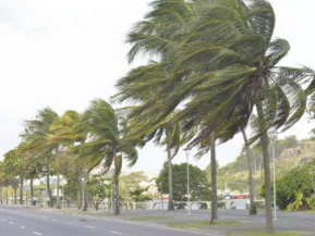 Cidades do ES recebem alerta amarelo de vendaval; veja quais são