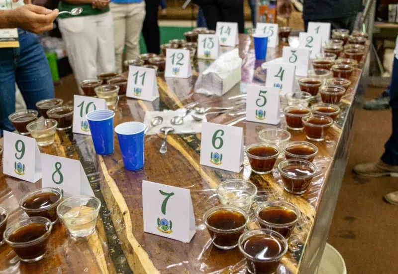 25 produtores disputam título no concurso de café conilon de Jaguaré