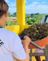Alunos de Jaguaré transformam resíduos orgânicos em adubo para horta e jardim
