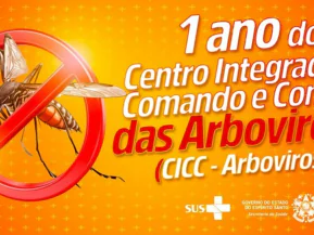 CICC de Arboviroses completa um ano com reforço no combate à dengue e outras doenças