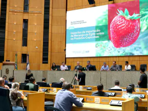 Crescimento das importações de morango impacta setor capixaba e mobiliza Comissão da Ales
