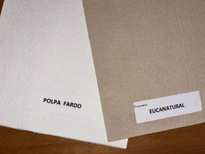 Suzano desenvolve nova celulose marrom para embalagens sustentáveis