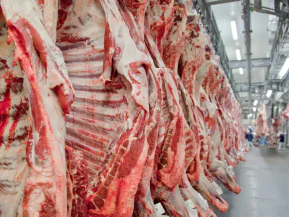 Governo promete reverter veto da UE a carnes e animais brasileiros