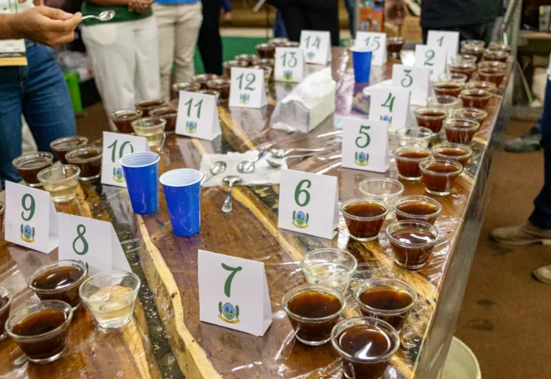 Concurso de café conilon de Jaguaré recebe 56 amostras e define finalistas em setembro