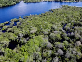Desmatamento em áreas protegidas da Amazônia e do Cerrado tem queda