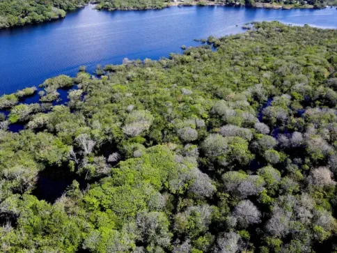 Desmatamento em áreas protegidas da Amazônia e do Cerrado tem queda
