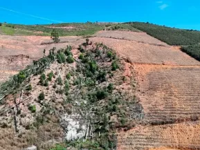 ES bloqueia 80 hectares de áreas desmatadas para atividades do agro