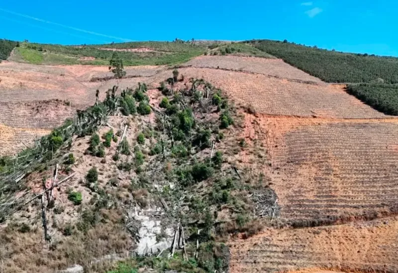 ES bloqueia 80 hectares de áreas desmatadas para atividades do agro