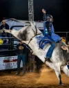 Festa da Agricultura Familiar terá rodeio e motocross em Jaguaré