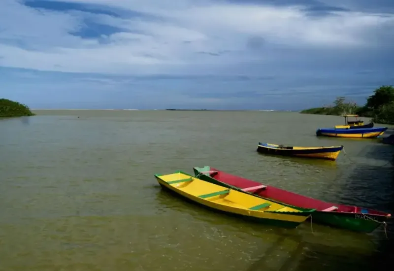 Governo libera pesca na foz do Rio Doce após 10 anos do desastre de Mariana