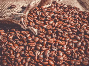 Exportações do agro brasileiro batem recorde em fevereiro; soja, carne e café estão entre os destaques