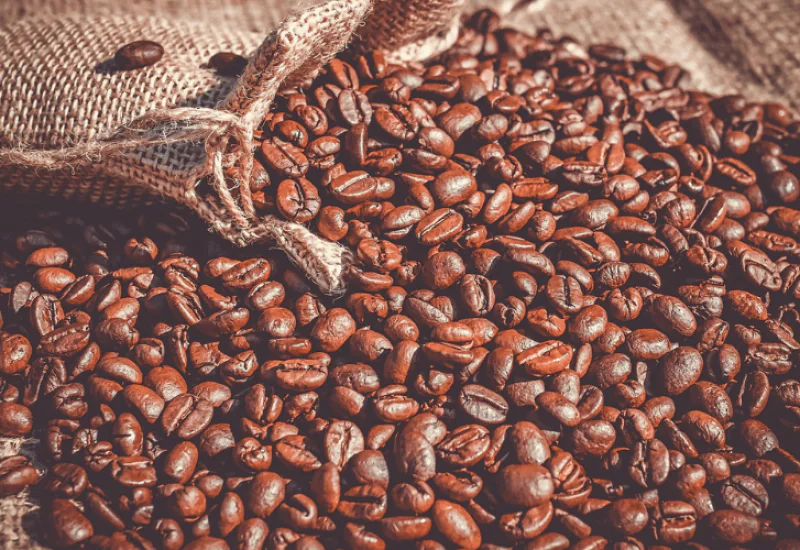 Exportações do agro brasileiro batem recorde em fevereiro; soja, carne e café estão entre os destaques