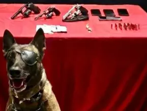 Operação termina com 3 presos e armas e drogas apreendidas em Jaguaré
