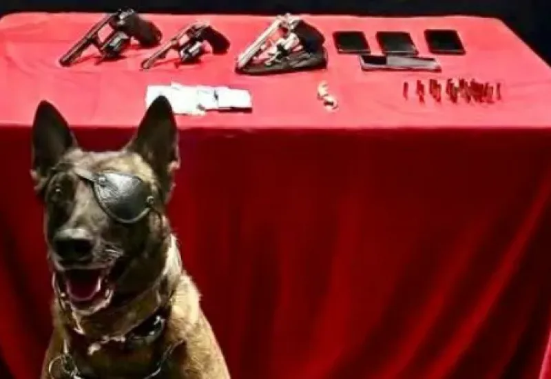 Operação termina com 3 presos e armas e drogas apreendidas em Jaguaré