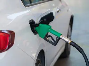 Setor de petróleo e gás deve atrair R$ 38,4 bilhões e gerar 5 mil vagas de alta especialização no Estado