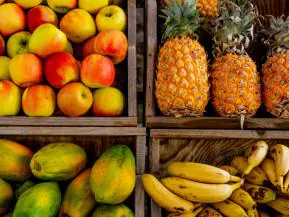 Exportações de frutas brasileiras batem recorde e atingem US$ 1,5 Bilhão em 2025