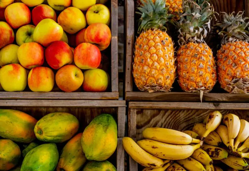 Exportações de frutas brasileiras batem recorde e atingem US$ 1,5 Bilhão em 2025