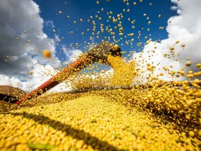 Produção agrícola brasileira superou R$ 927 bilhões em 2025