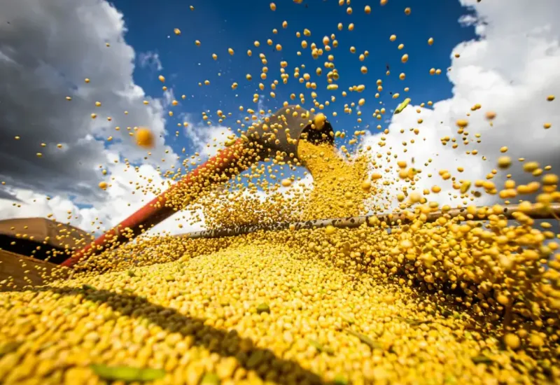 Produção agrícola brasileira superou R$ 927 bilhões em 2025