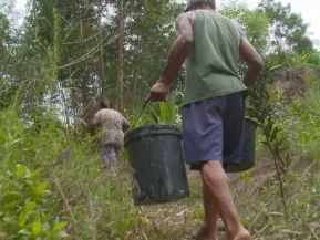 Decisão obriga Estado a levar água a quilombolas no Norte, mas execução é o verdadeiro desafio