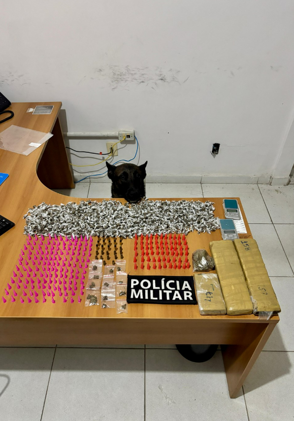 Captura de tela 2025 12 11 221832