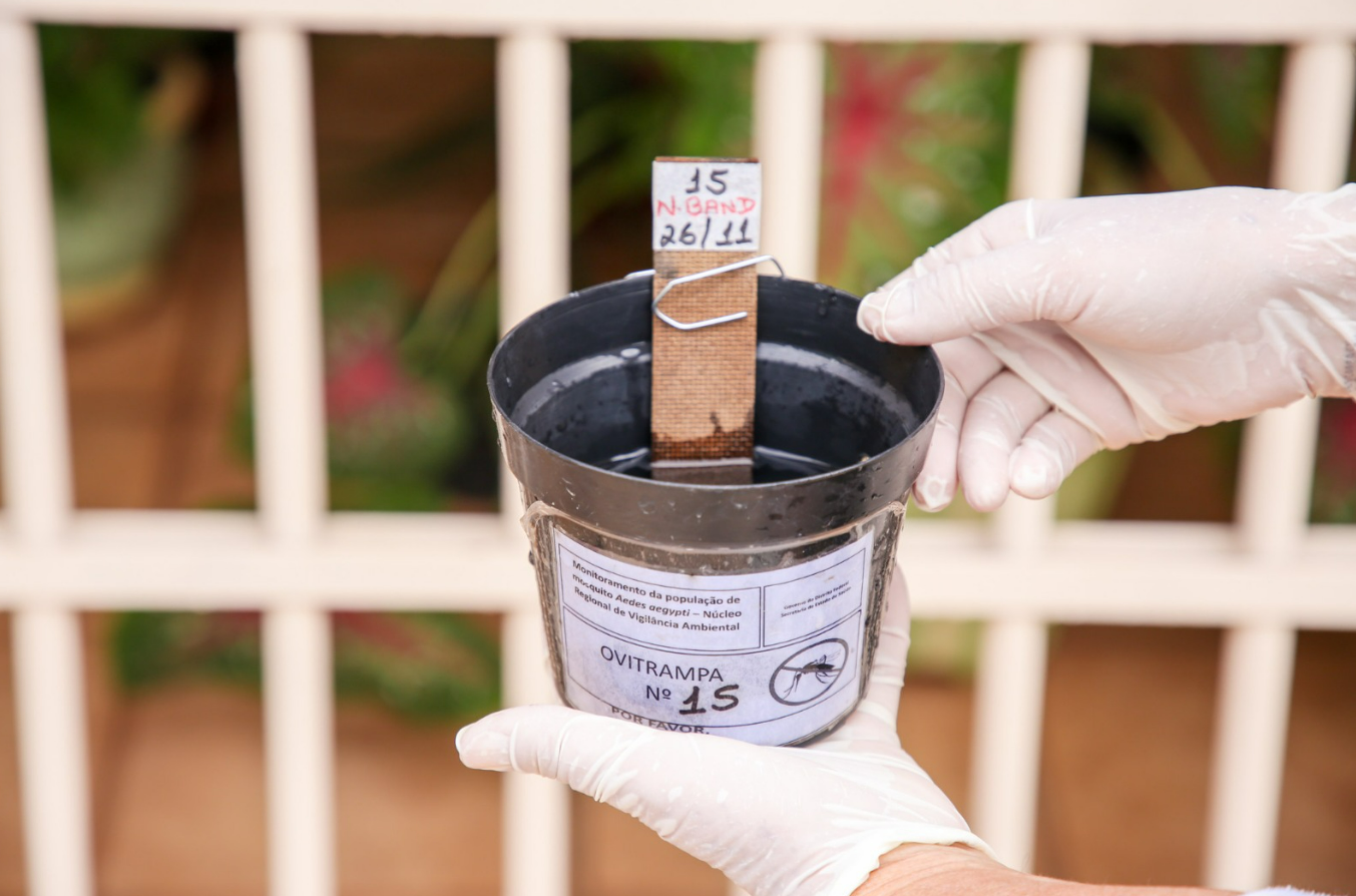 Captura de tela 2026 02 23 142115