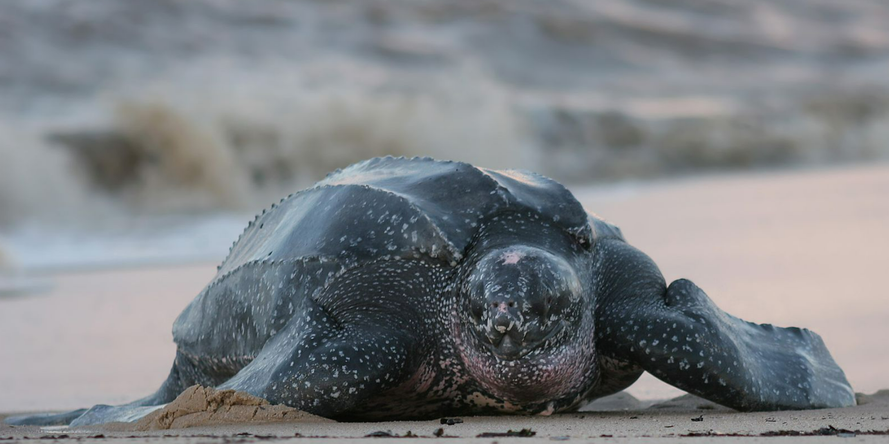 Captura de tela 2026 02 24 115343