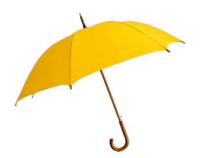 Captura de tela 2024 07 27 021158 removebg preview