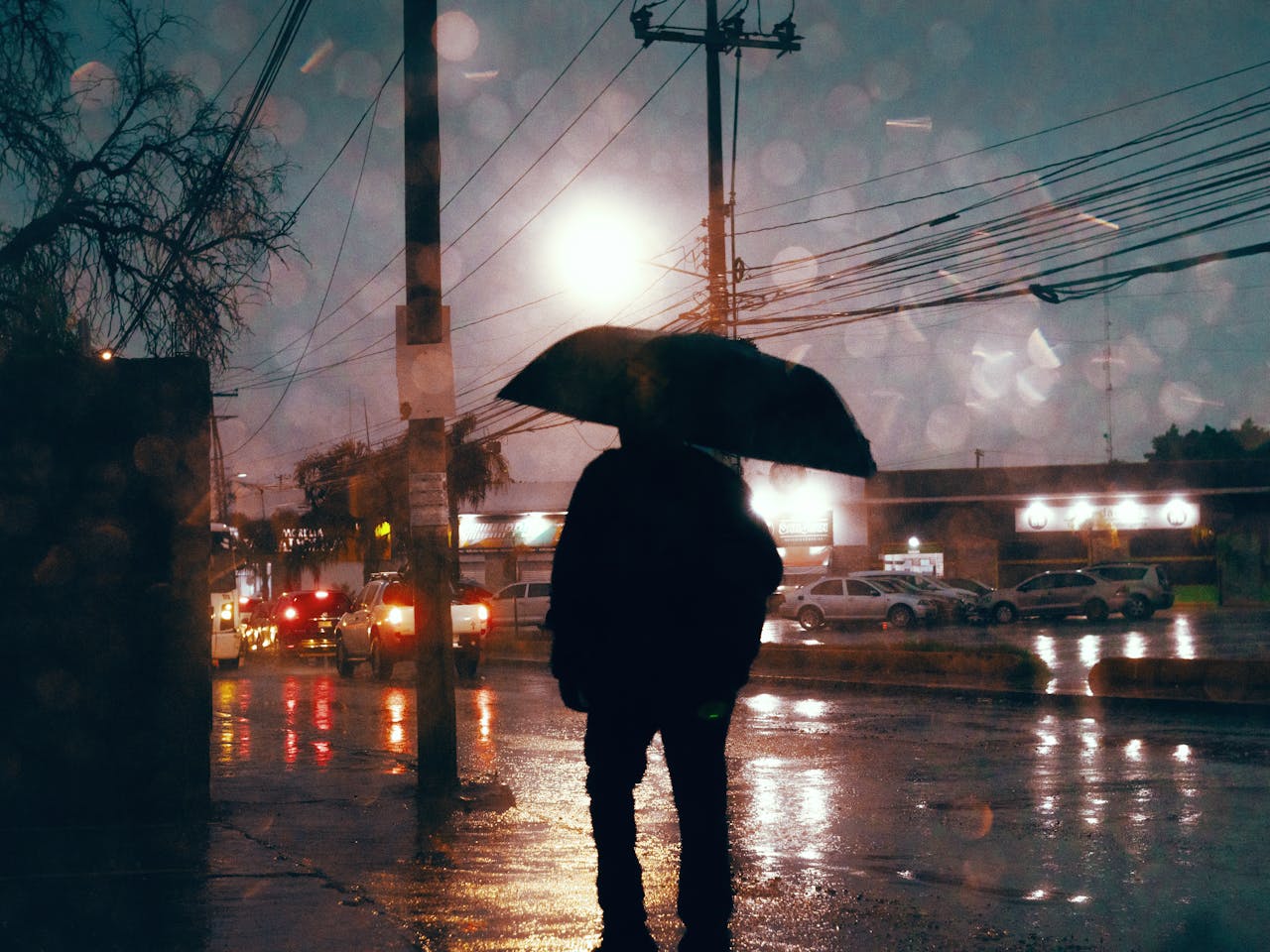 pexels omar espino 1189398727 27778165