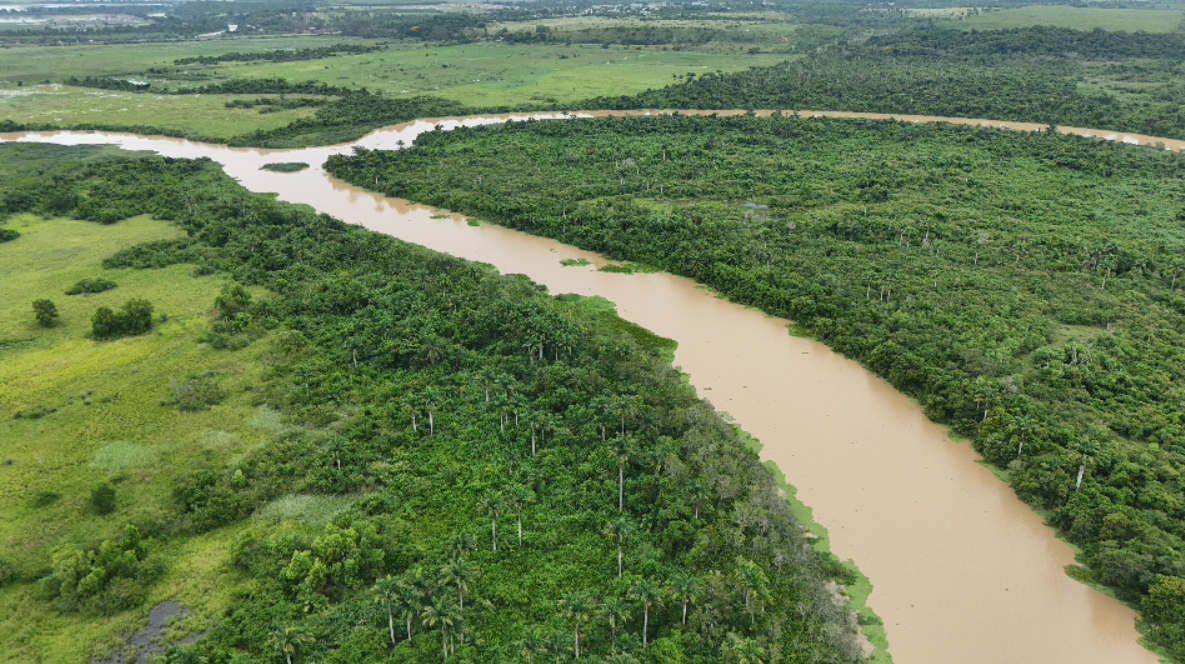 Captura de tela 2026 03 06 100105