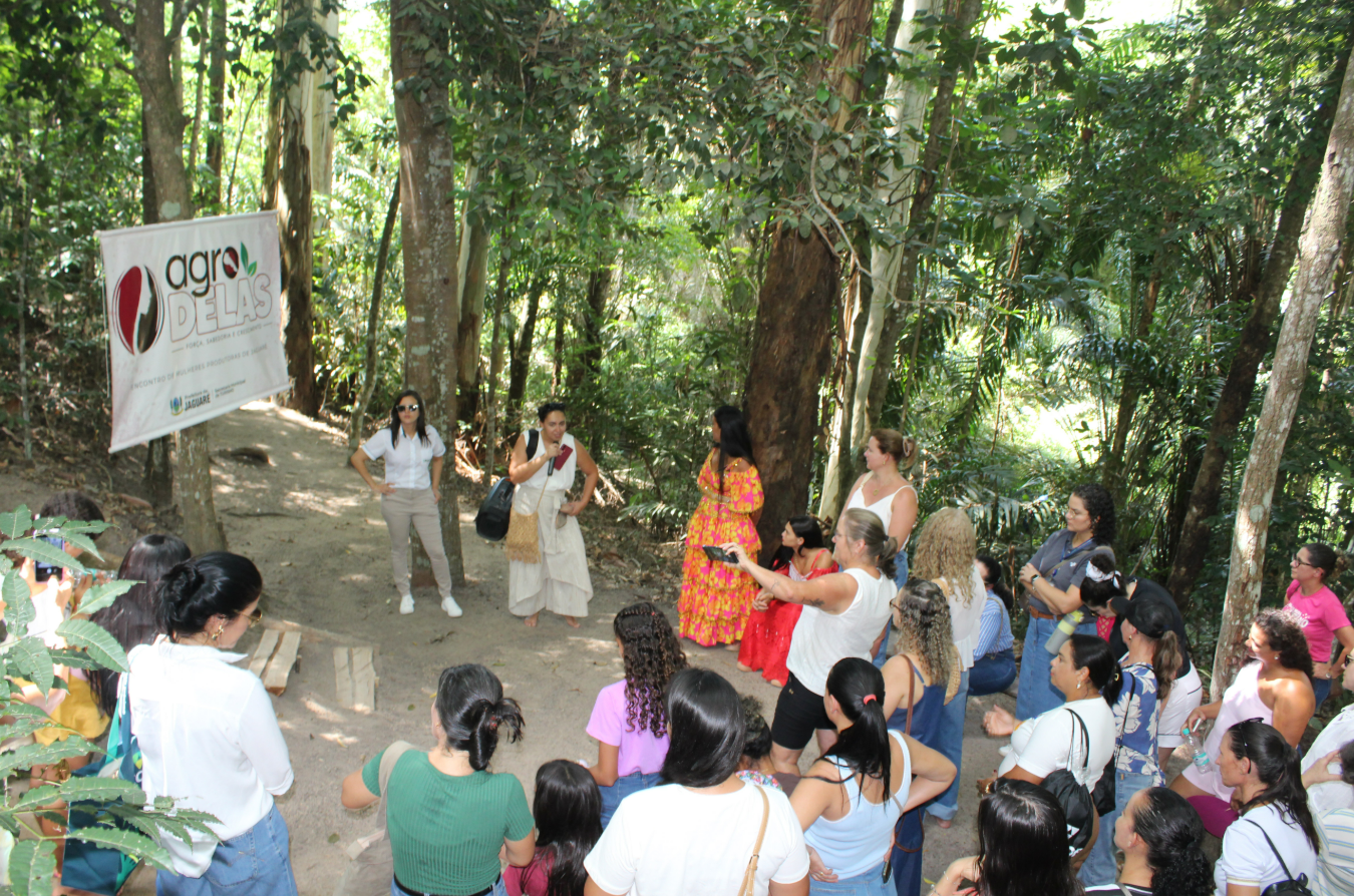 Captura de tela 2026 03 10 175949