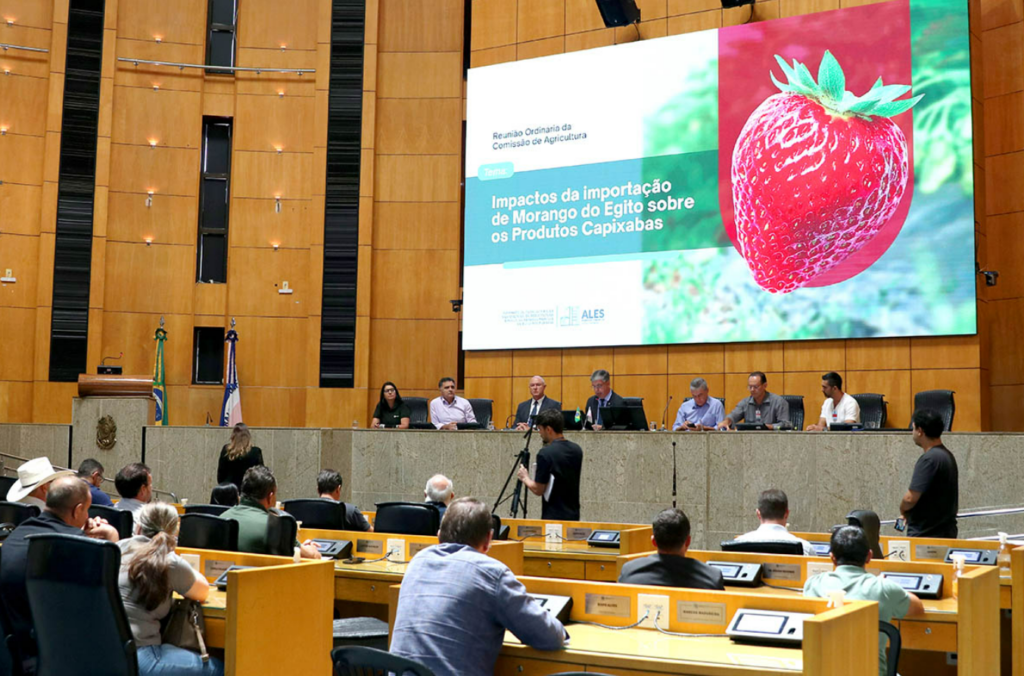 Captura de tela 2026 03 17 175106