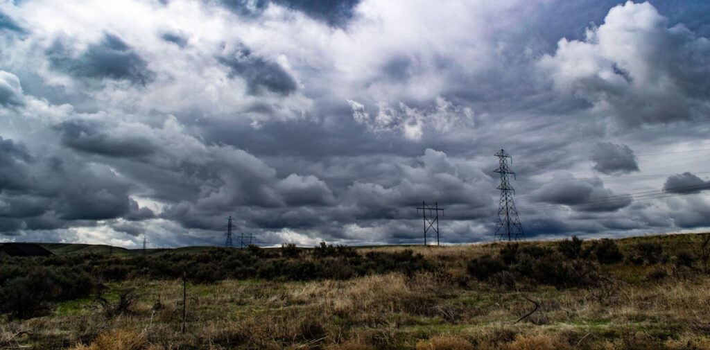 pexels brett sayles 1021365